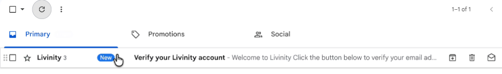 Verification Email